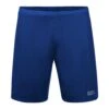 Gore Wear Men's R5 2-in-1 Shorts - Ultramarine Blue