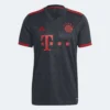 ADIDAS Men's FC Bayern 2022/2023 3rd Jersey - Night Grey