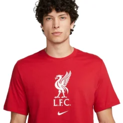 Nike Men'sLiverpool FC Soccer T-Shirt - Gym Red -Patagonia Shop AURORA DM3482 687 PHSYM001 2000