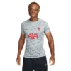 Nike Men's Liverpool FC Prematch Short Sleeve - Wolf Grey/Tough Red