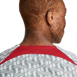 Nike Men's Liverpool FC Prematch Short Sleeve - Wolf Grey/Tough Red -Patagonia Shop AURORA DR4904 013 PHSYM004 2000