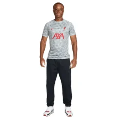 Nike Men's Liverpool FC Prematch Short Sleeve - Wolf Grey/Tough Red -Patagonia Shop AURORA DR4904 013 PHSYM005 2000