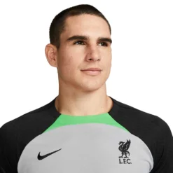 Men's Liverpool FC Strike Nike Dri-FIT Knit Soccer Top - Wolf Grey/Poison Green/Black -Patagonia Shop AURORA DX3020 013 PHSYM001 2000 1