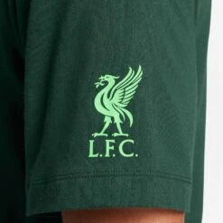 Nike Men's Liverpool FC T-Shirt - Pro Green -Patagonia Shop AURORA FD1076 397 PHSYM002 2000