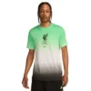 Nike Men's Liverpool FC Crest Tee - White/Poison Green/Black/Black
