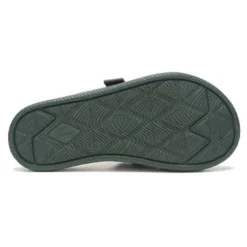Chaco Men's Chillos Slide - Scarab - Regular (D) -Patagonia Shop CHAM JCH108297 050321 S22 OUT