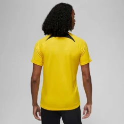 Nike Men's Paris Saint-Germain Dri-Fit Academy Pro - Tour Yellow -Patagonia Shop DR4906 720 PHSBM001