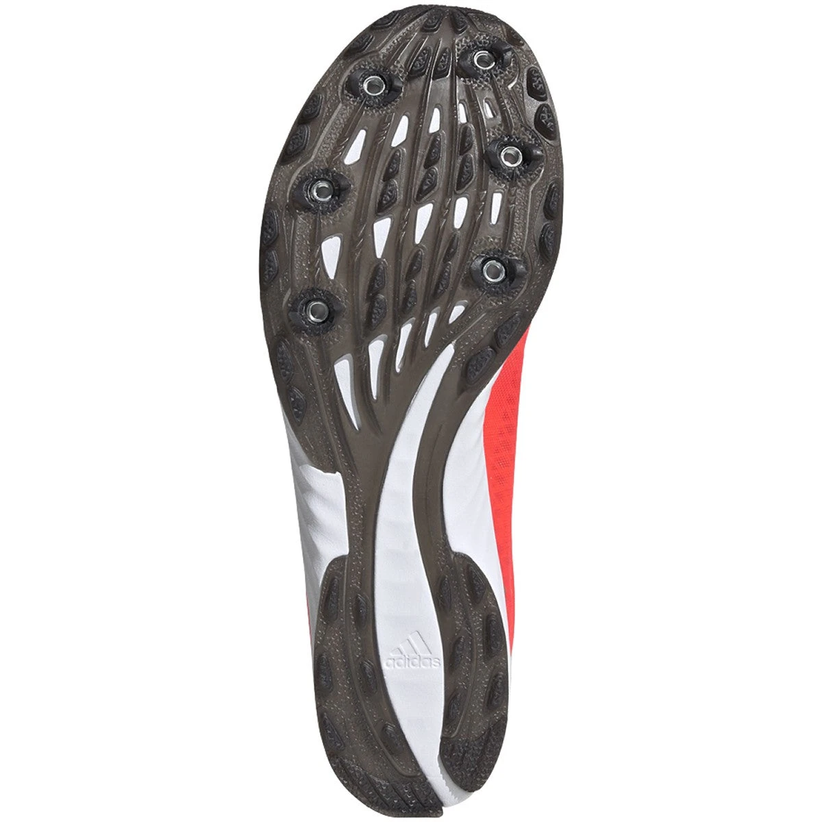 ADIDAS Women's Adizero XC Sprint Spike - Signal Pink/Core Black/TWR White- Regular (B) 3 ADIDAS Women's Adizero XC Sprint Spike - Signal Pink/Core Black/TWR White- Regular (B) - Image 3