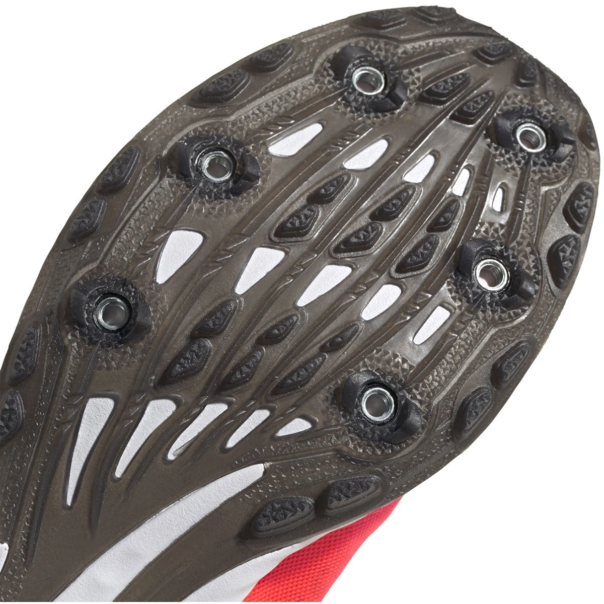 ADIDAS Women's Adizero XC Sprint Spike - Signal Pink/Core Black/TWR White- Regular (B) 5 ADIDAS Women's Adizero XC Sprint Spike - Signal Pink/Core Black/TWR White- Regular (B) - Image 5