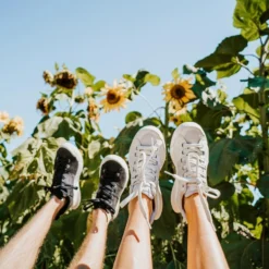 Women's X-SCAPE NBK Low Sneaker - Blanc/Light Grey - Regular (B) 18 Women's X-SCAPE NBK Low Sneaker - Blanc/Light Grey - Regular (B) -Patagonia Shop womens x scape nbk low blanc light grey ls 3 800x 70e971bc eee0 4189 bdde 434a0688a562